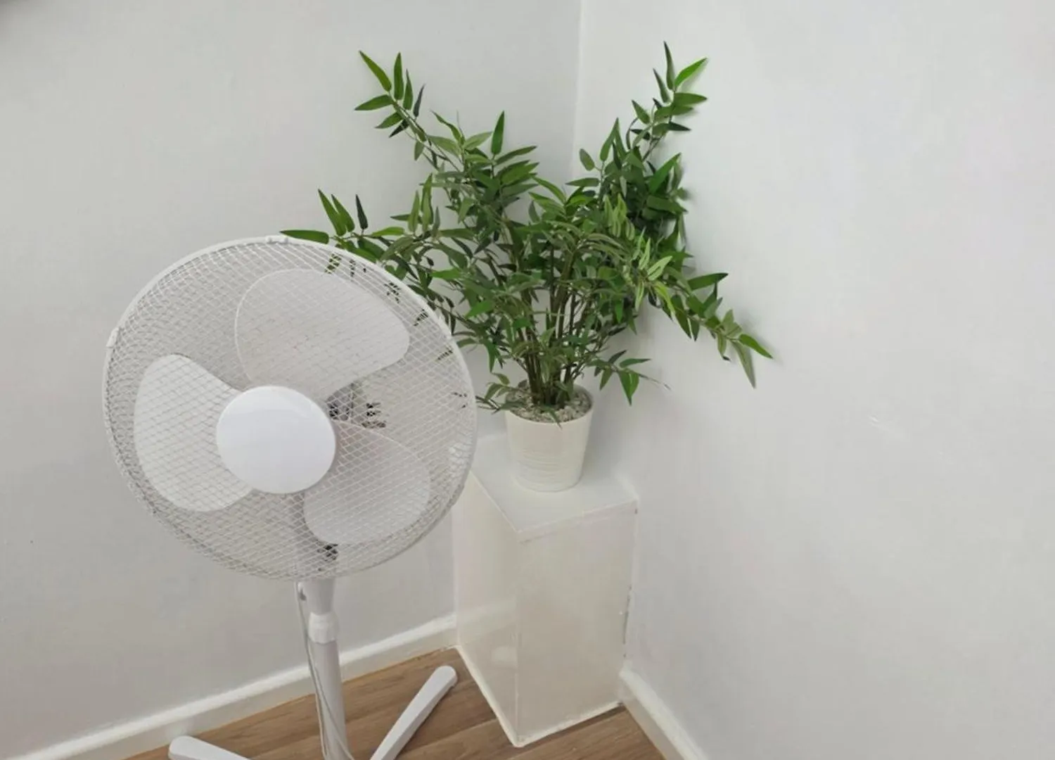 *** Guest house Bluebell Hotel Blackpool United Kingdom